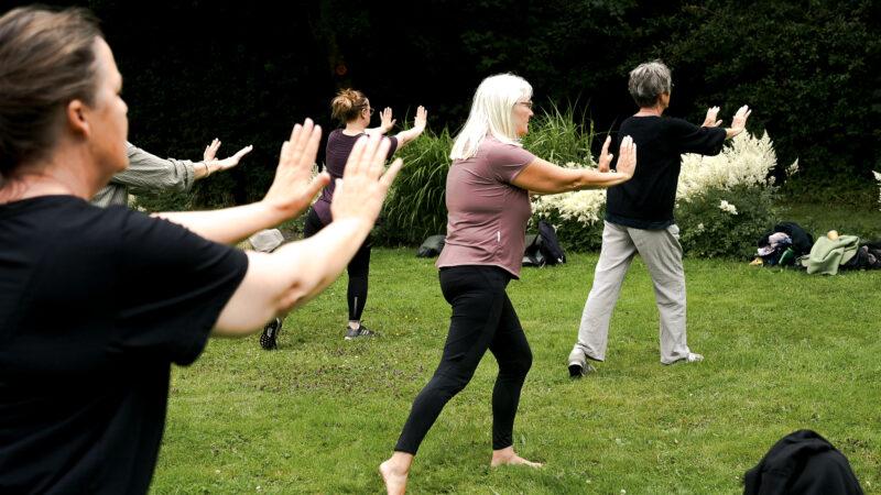 Sommerhøjskole: Qi gong (Uge 28)
